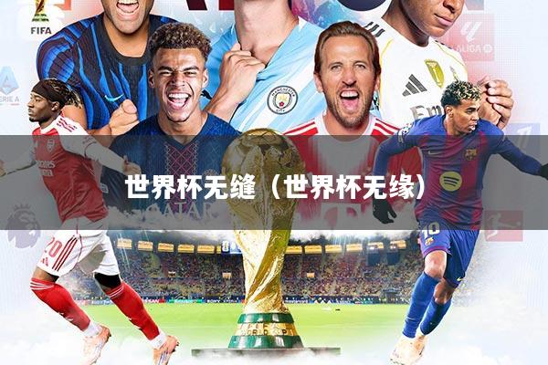 世界杯无缝（世界杯无缘）